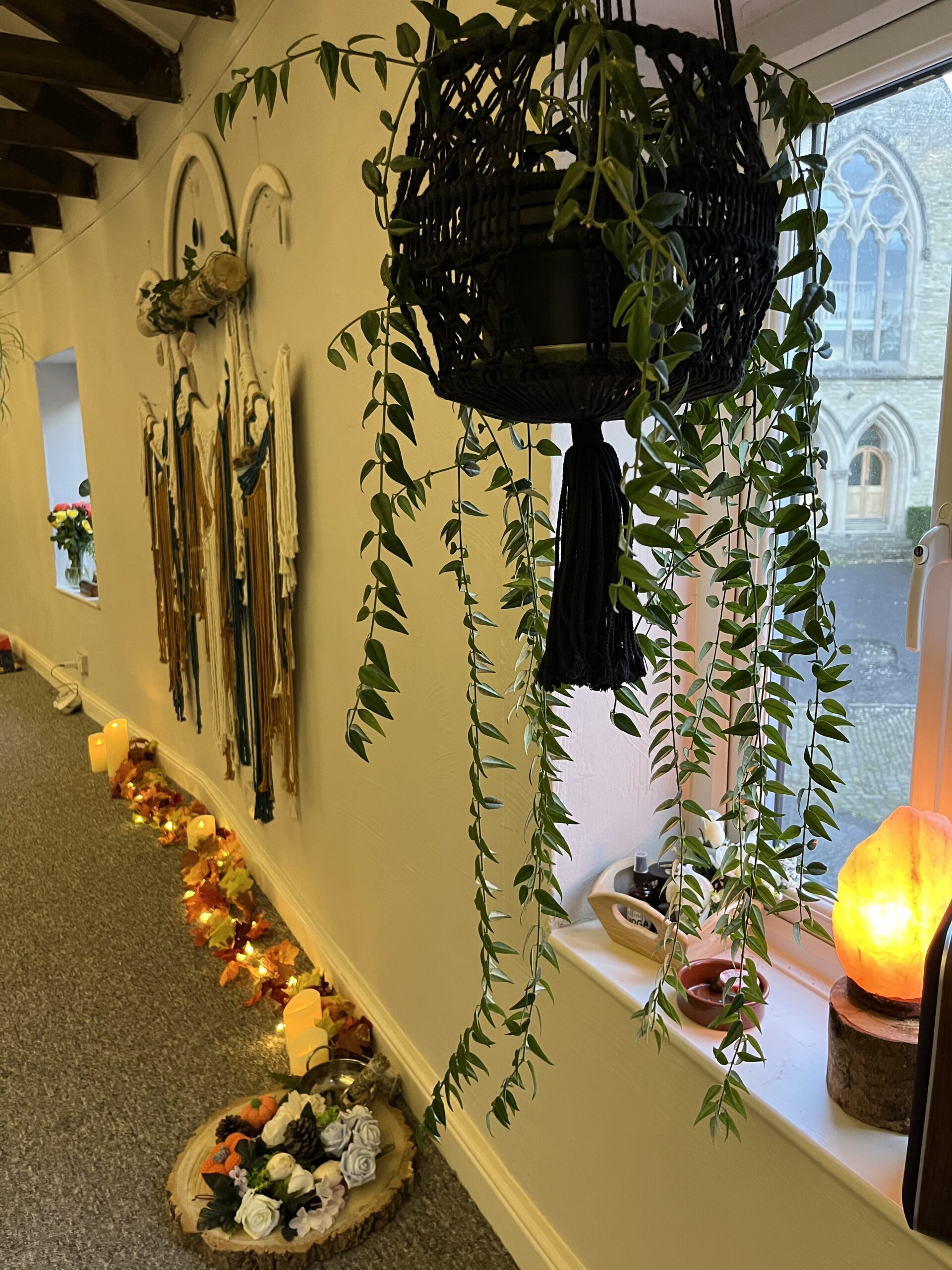 hanging plant in bollington yoga studio